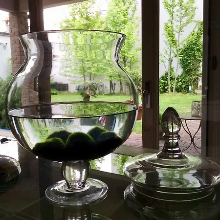 Abitare Al 42 * Ραβένα